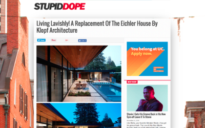 Stupid Dope featured our Glass Wall House