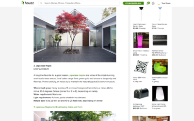 Houzz features our Double Gable Eichler Remodel