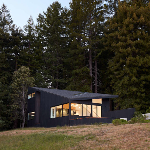 cropped-Klopf_SeaRanch_23.jpg