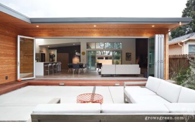 Growsgreen landscape design features our San Carlos Mid-Century Modern Remodel