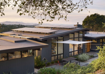 Modern Oasis